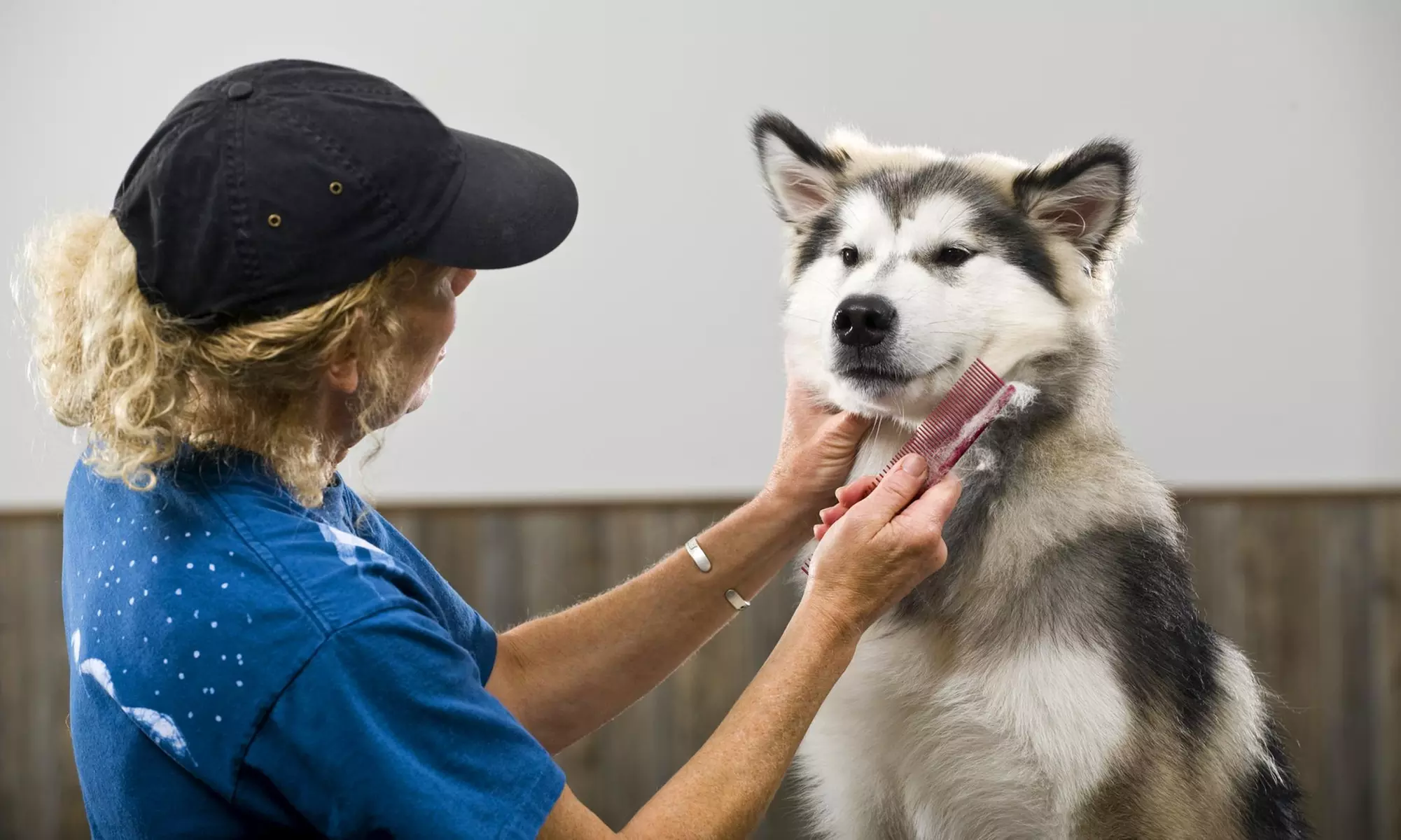 Up to 40% Off at Woof and Fur - Primary Image