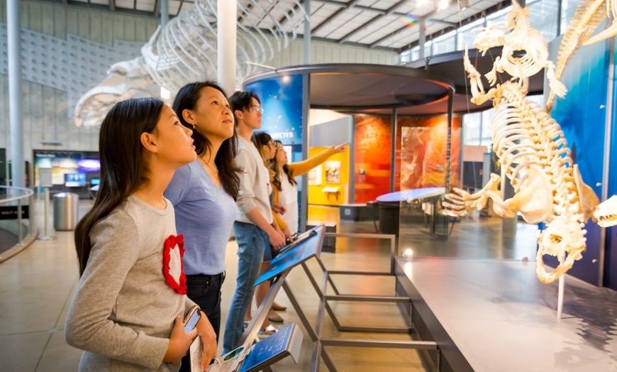 Image 9: Guided Golden Gate Park Walking Tour w/ California Academy of Sciences