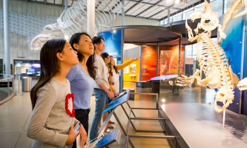 Guided Golden Gate Park Walking Tour w/ California Academy of Sciences