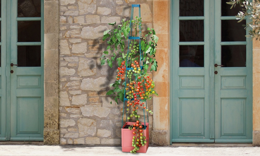 Image 1: Self-Watering Four-Tier Tomato Tower