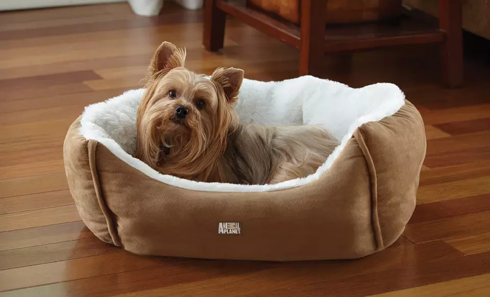 $19.99 for an Animal Planet Ultra Suede Pet Bed ($39.99 List Price). Three Colors Available. Free Shipping and Returns. - Second Medium