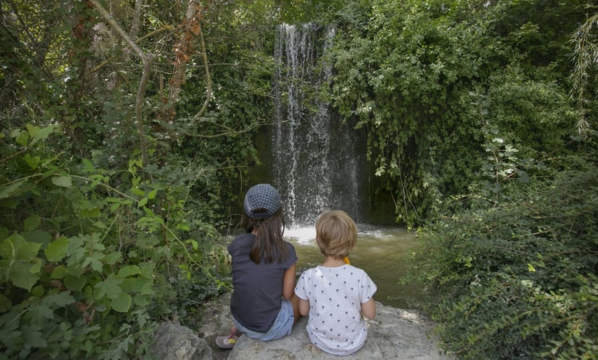Image 14: La Vallée des Singes : expérience précieuse au cœur du monde sauvage