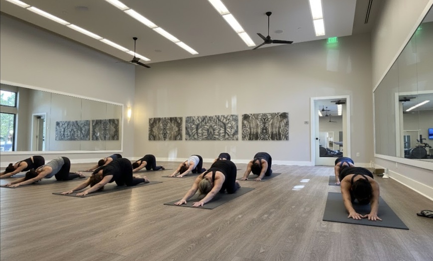 Image 2: Outdoor & Indoor Yoga for Balance & Serenity