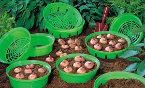 Bulb Planting Baskets