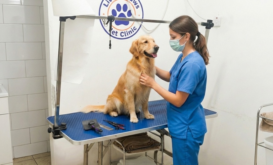 Image 2: Caring & Comprehensive Pet Grooming for Dogs & Cats of All Sizes