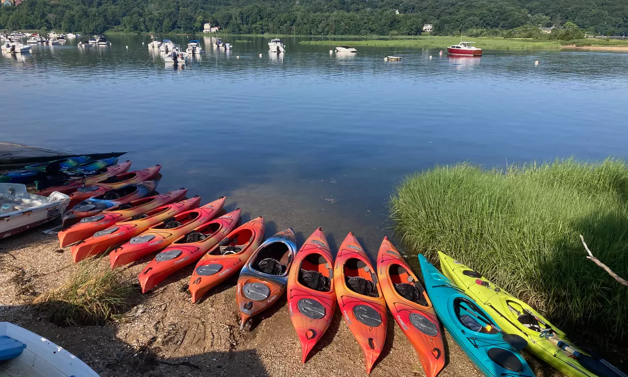 1 or 2-Hour Kayak Tour at Cold Spring Harbor or Connetquot River