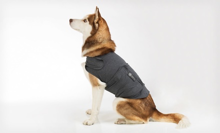 American Kennel Club Calm Coat | Groupon Goods