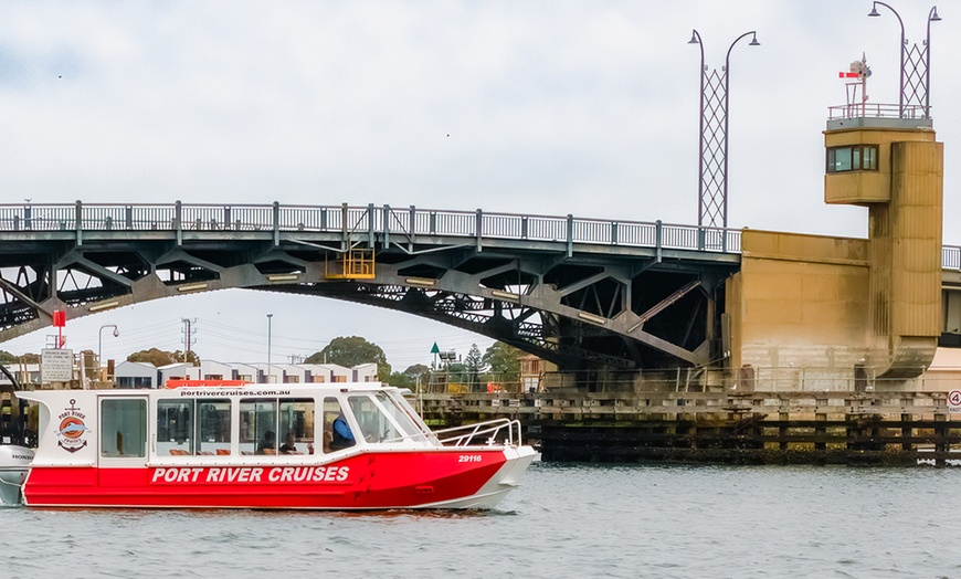 Image 9: 90-Minute Port River Dolphin & Ships Graveyard Cruise