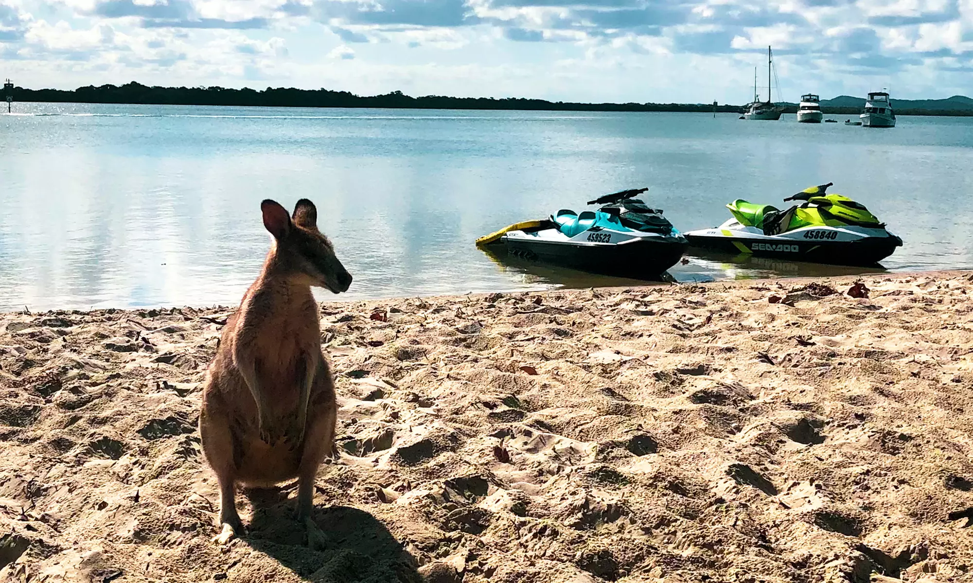Thrilling 30-Min Jet Ski Tour for up to Two People in Surfers Paradise