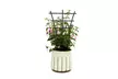2Pcs Stackable Plant Trellis Climbing Indoor for Potted Plastic Climbing Support - Second Medium