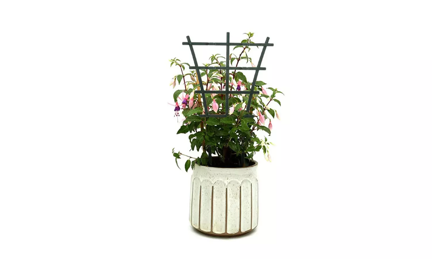 2Pcs Stackable Plant Trellis Climbing Indoor for Potted Plastic Climbing Support