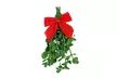 Live Mistletoe Bunch - Second Medium
