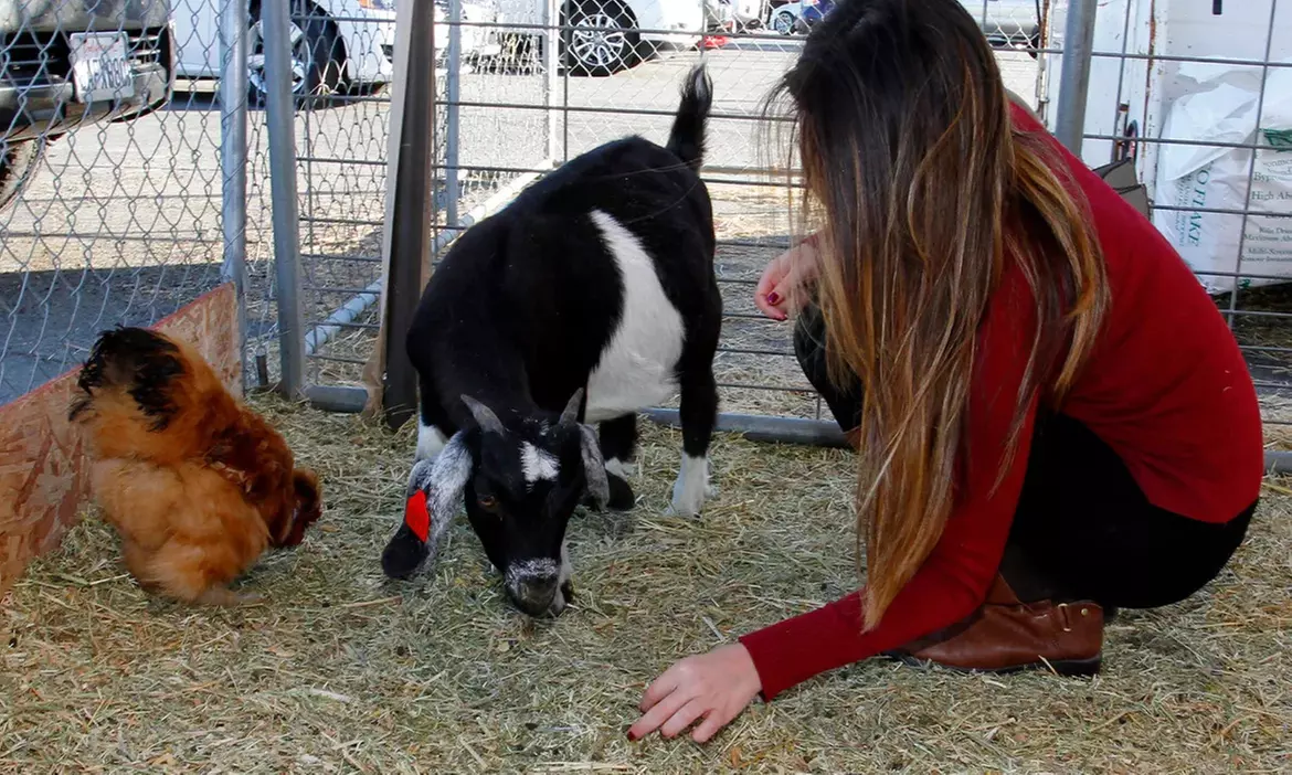 Enjoy Fall Traditions w/ Entry for Adults & Kids to Speer Family Farm