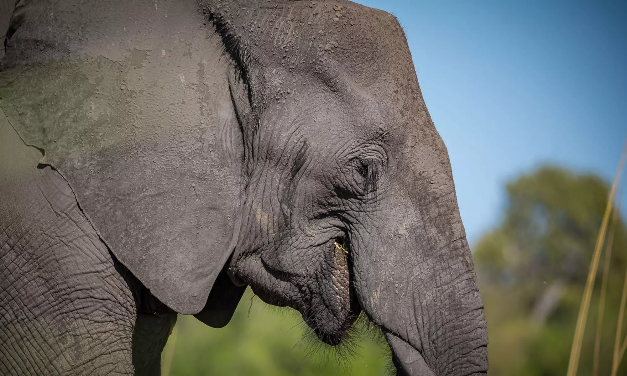 Zimbabwe: 7-Night Yoga & Safari Retreat