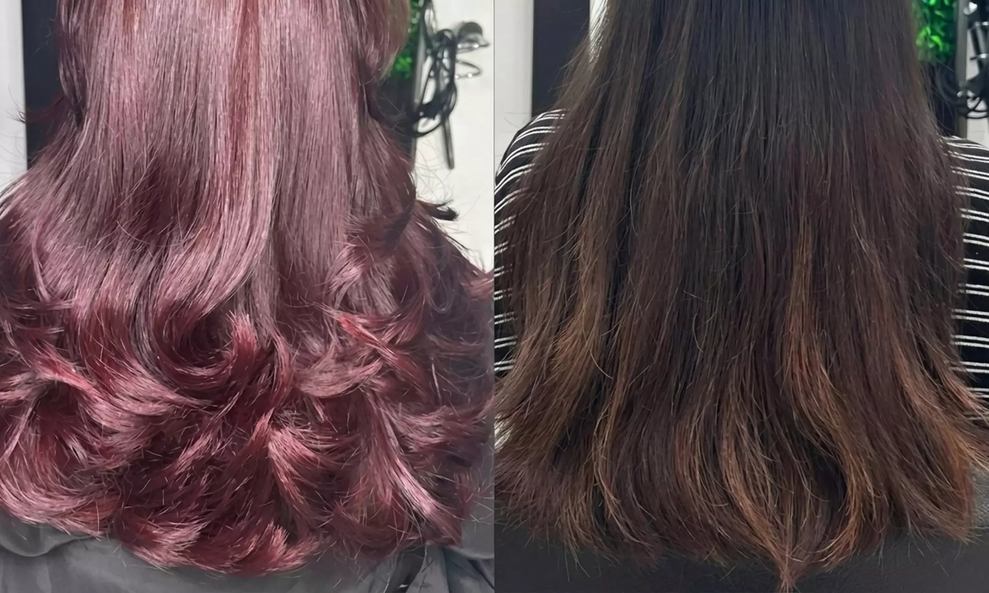 Sesión de peluquería con lavado, corte y secado y tratamiento a elegir