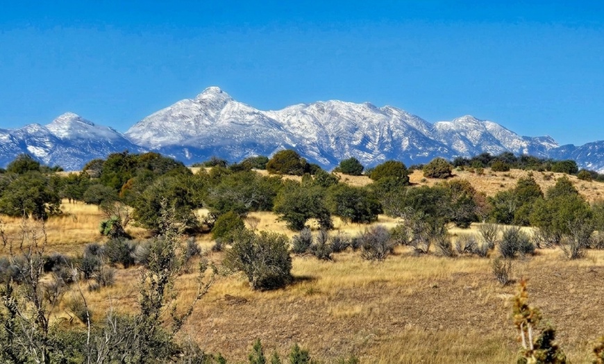 Image 10: Scenic Trail Rides at Double R Ranch – All Skill Levels Welcome