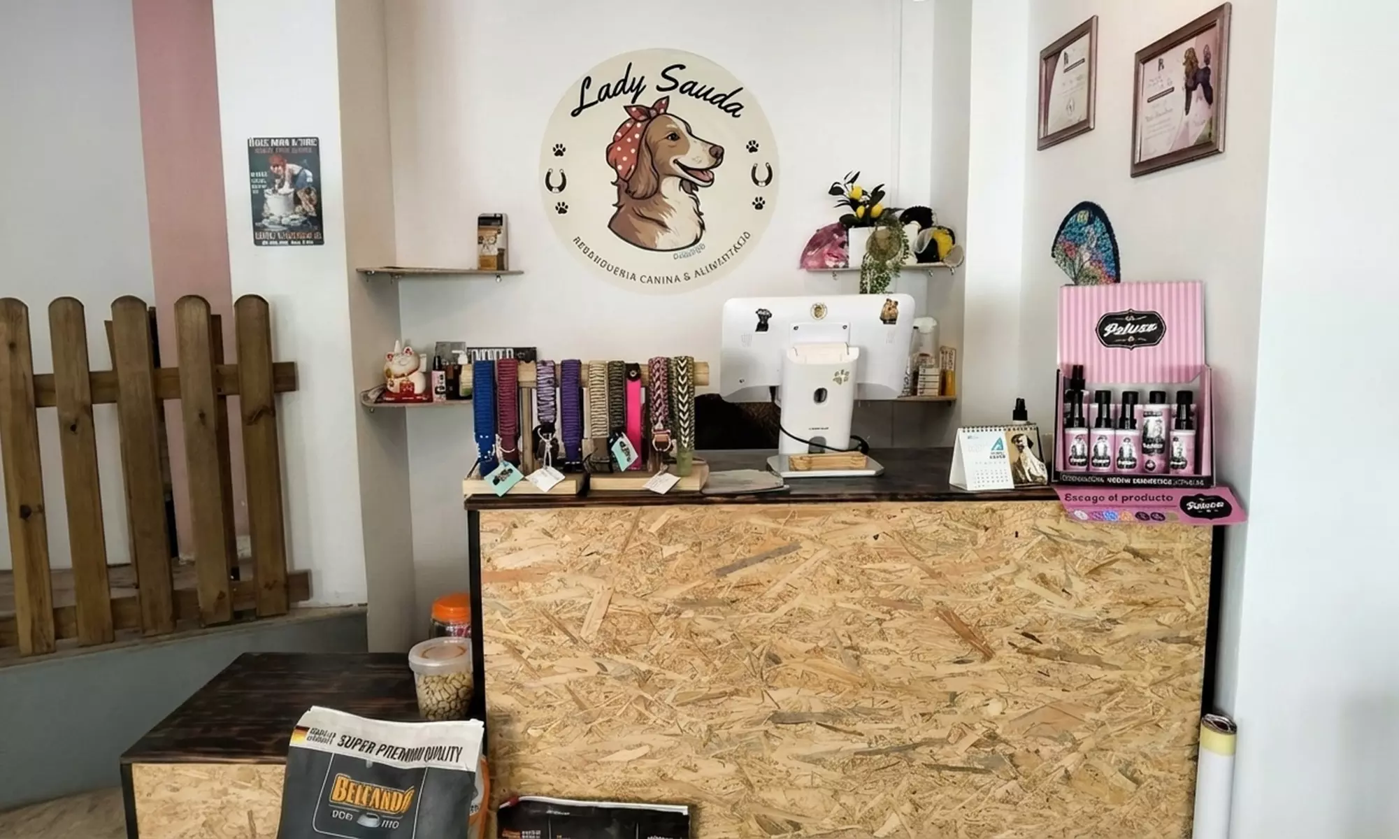 Sesión de peluquería canina con opción a corte