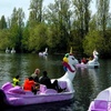 Image 2: Magical Unicorn Pedal Boat Rides for Child, Adult, or Family Ticket