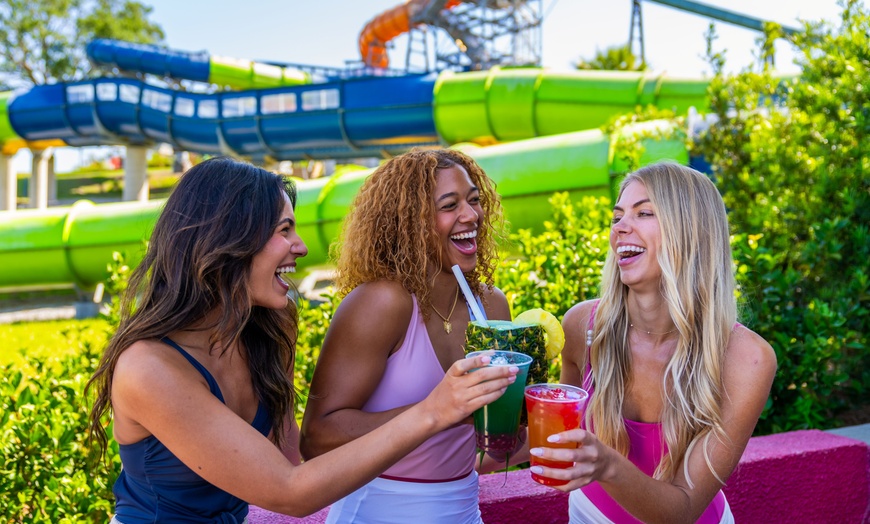 Image 5: Save 56% on Adventure Island Tickets!