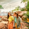 Image 12: Desert Smart Tourism: Flexible Yas Island Theme Park Access