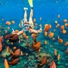 Image 4: Cageless Shark Snorkeling – Oahu's North Shore, Hawaii