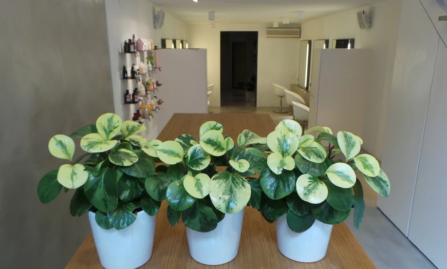 Image 4: 1 o 2 sesiones de radiofrecuencia facial y mascarilla