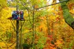 3-Hour Zipline Tour or 2-Hour Kid's Zipline Tour at Sky Valley Zip Tours (Up to 31% Off) - Second Medium