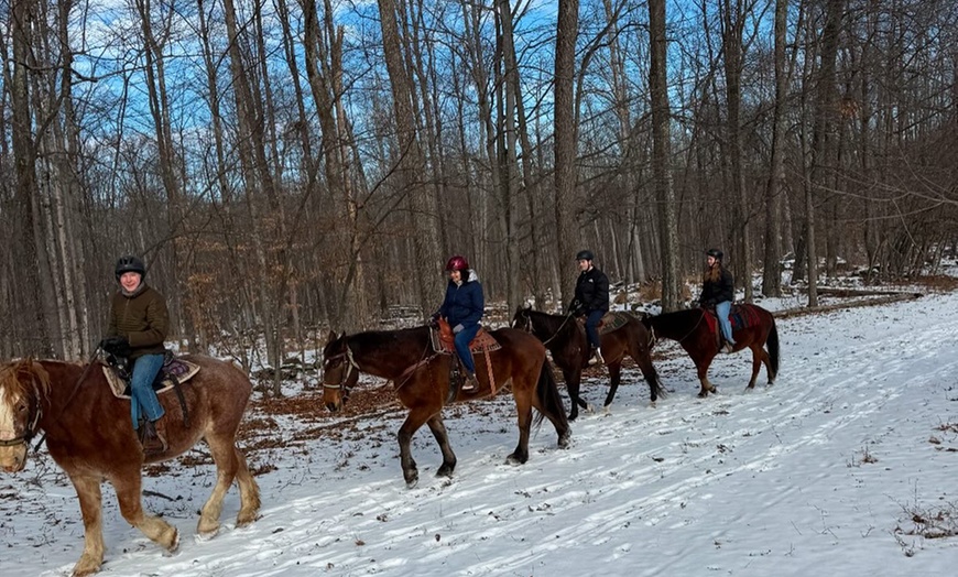 Image 5: Horseback Trail Ride Through Hudson Valley (45 Minutes)