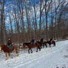 Image 5: Horseback Trail Ride Through Hudson Valley (45 Minutes)