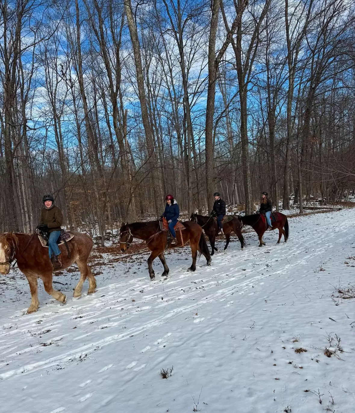 Snowy Horseback Trail Ride Through Hudson Valley (45 Minutes)