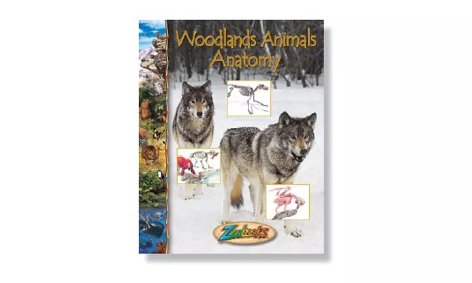 Zoobooks Animal Anatomy Set with 2 Bonus Books  - Second Medium