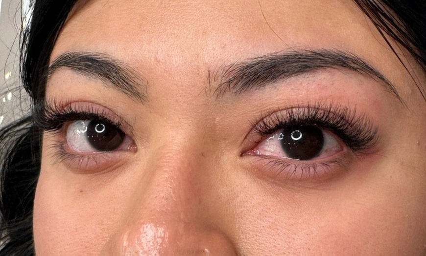 Image 12: Signature Lash Collections: Classic to Mega-Volume at Venus Room