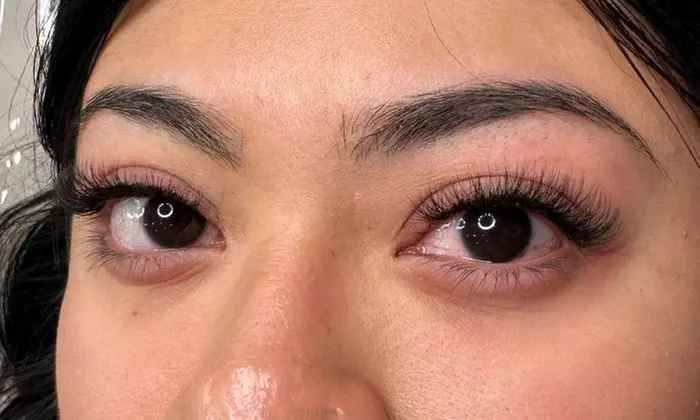 Signature Lash Collections: Classic to Mega-Volume at Venus Room