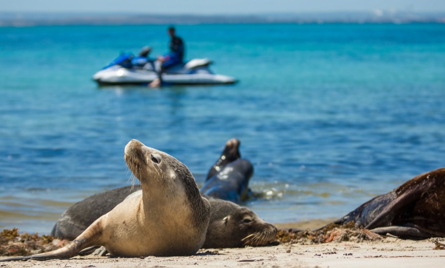 Image 7: 60 or 90-Minute Jet Ski Eco or Blast Tour - Solo Rider or Twin Share