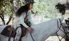 Saddle Up: Horseback Riding Lessons & Guided Trail Rides at Cloverleaf Ranch