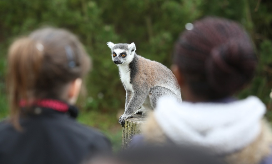 Image 12: Leicestershire Stay With Safari Park or Zoo Tickets