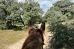 Paseo a caballo por la zona de Peña Grande y Dehesa Quemada para 1 o 2 personas, con material incluido, al 31% - Image 2