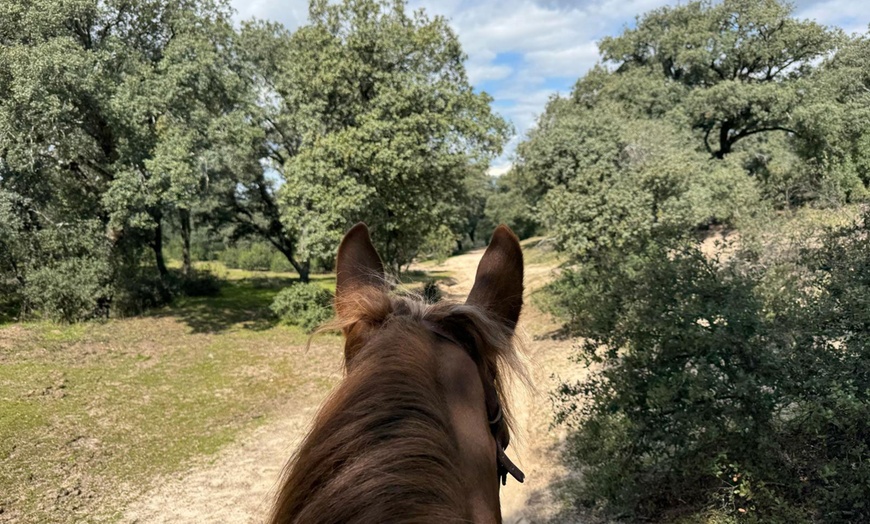 Image 2: Paseo a caballo con todo el material incluido para 1 o 2 personas