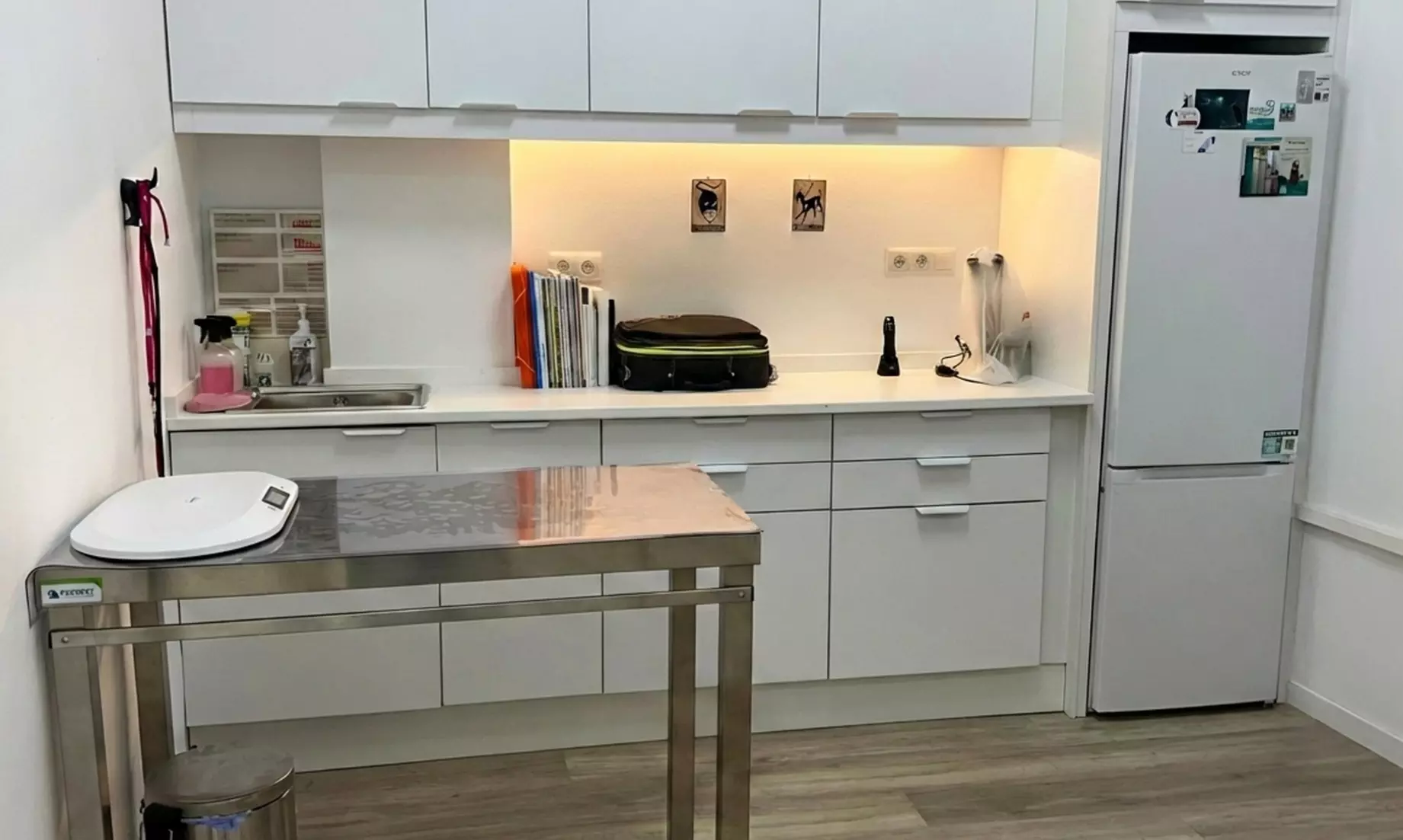 Esterilización de gatos y perras hasta 20 kg