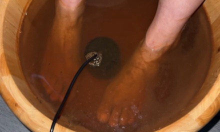 One Ionic Detox Foot Bath - Wow Recovery Center
