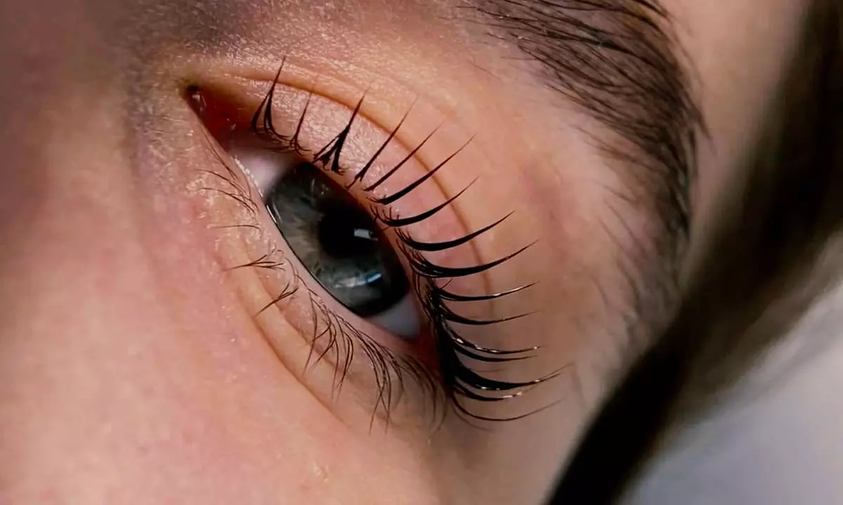 Pampering Session Awaits: Lash Lift with Tint, Classic Set of Eyelash Extensions or Gel Manicure (Up to 40% Off)