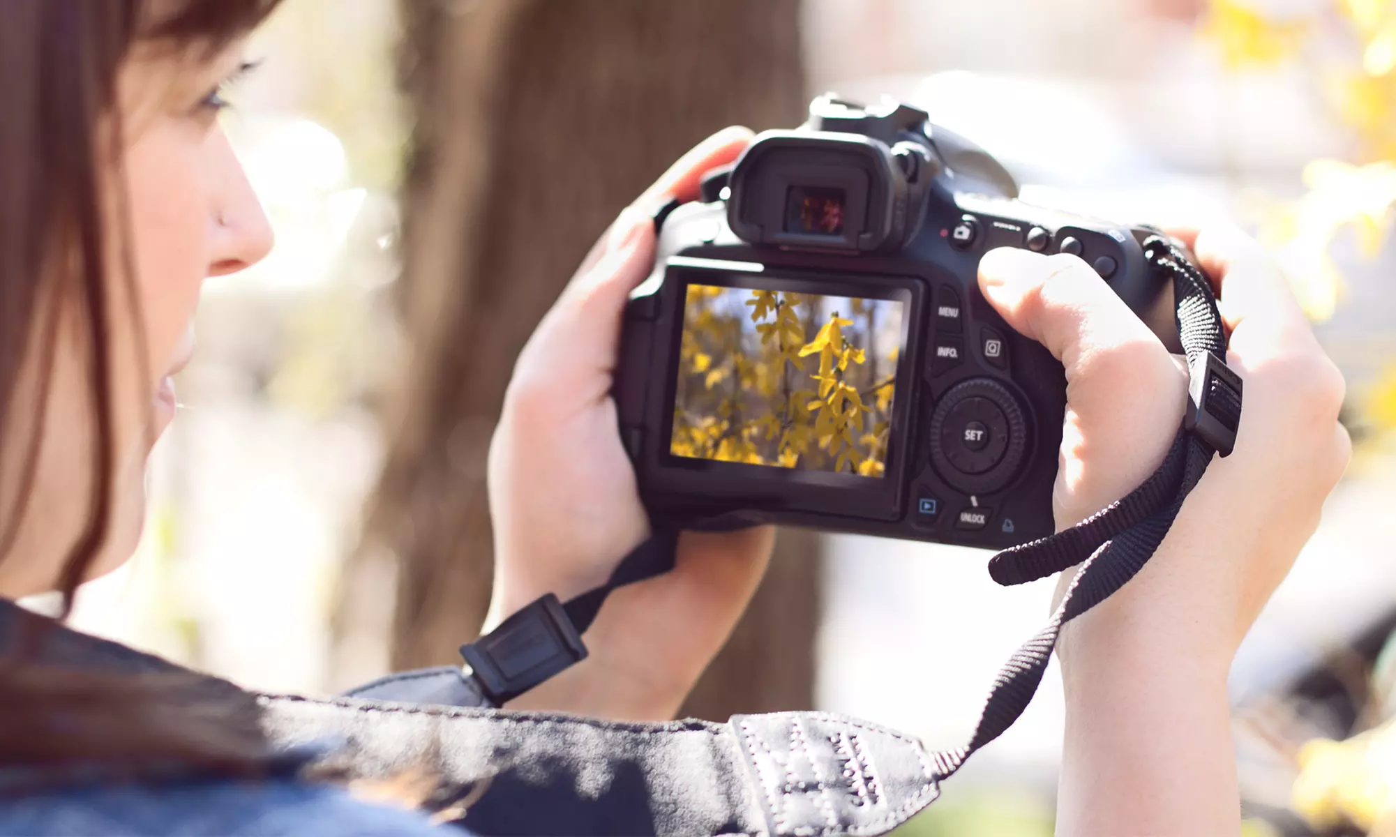 Photography and Photoshop Online Course from Courses for Success (Up to 97% Off). Four Options Available. - Primary Image