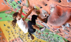 Klimmen bij Clip 'n Climb