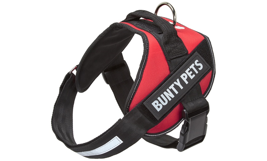 Image 6: Bunty Yukon Pet Harness