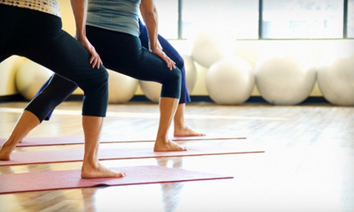 Hot-Yoga Barre Classes - Daniela's Hot Yoga and BARRE ...