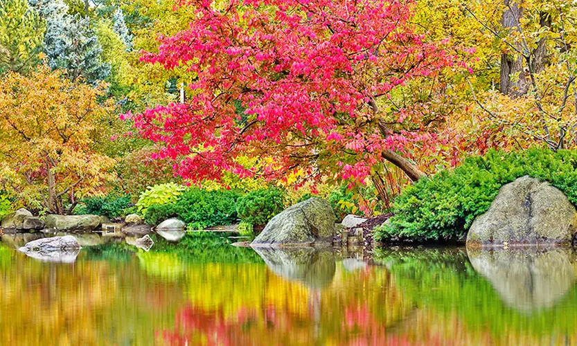 Four, Six, or Eight Visits to Anderson Japanese Gardens in Rockford (Up to 50% Off) - Primary Image