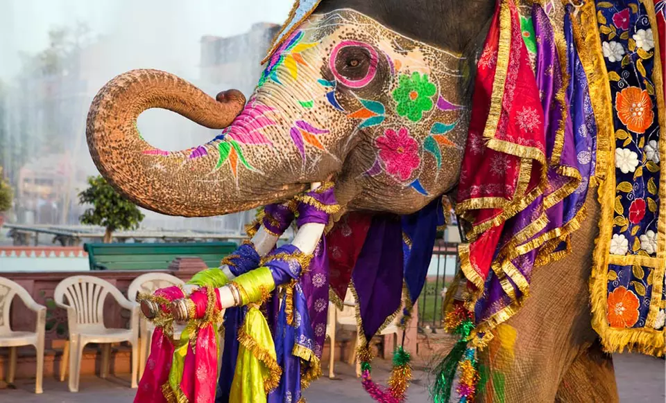 India Tour. Price is per Person, Based on Two Guests per Room. Buy One Voucher per Person. - Primary Image