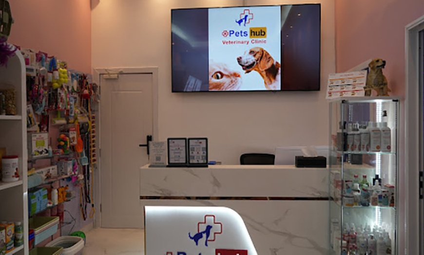 Image 4: Annual Vaccination or Full Dental Scaling For Cats & Dogs