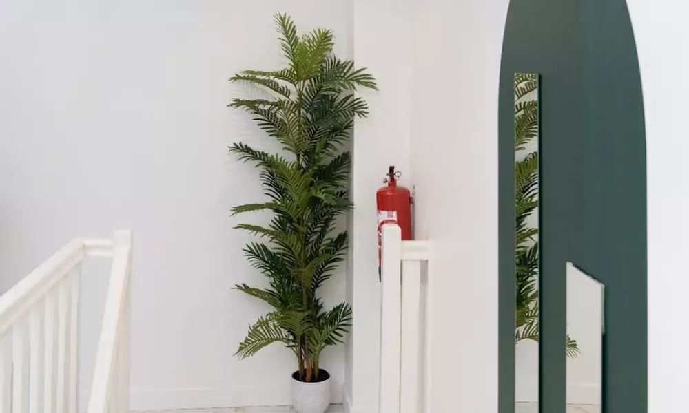 Head Spa - Rituels capillaires inspirés des traditions asiatiques