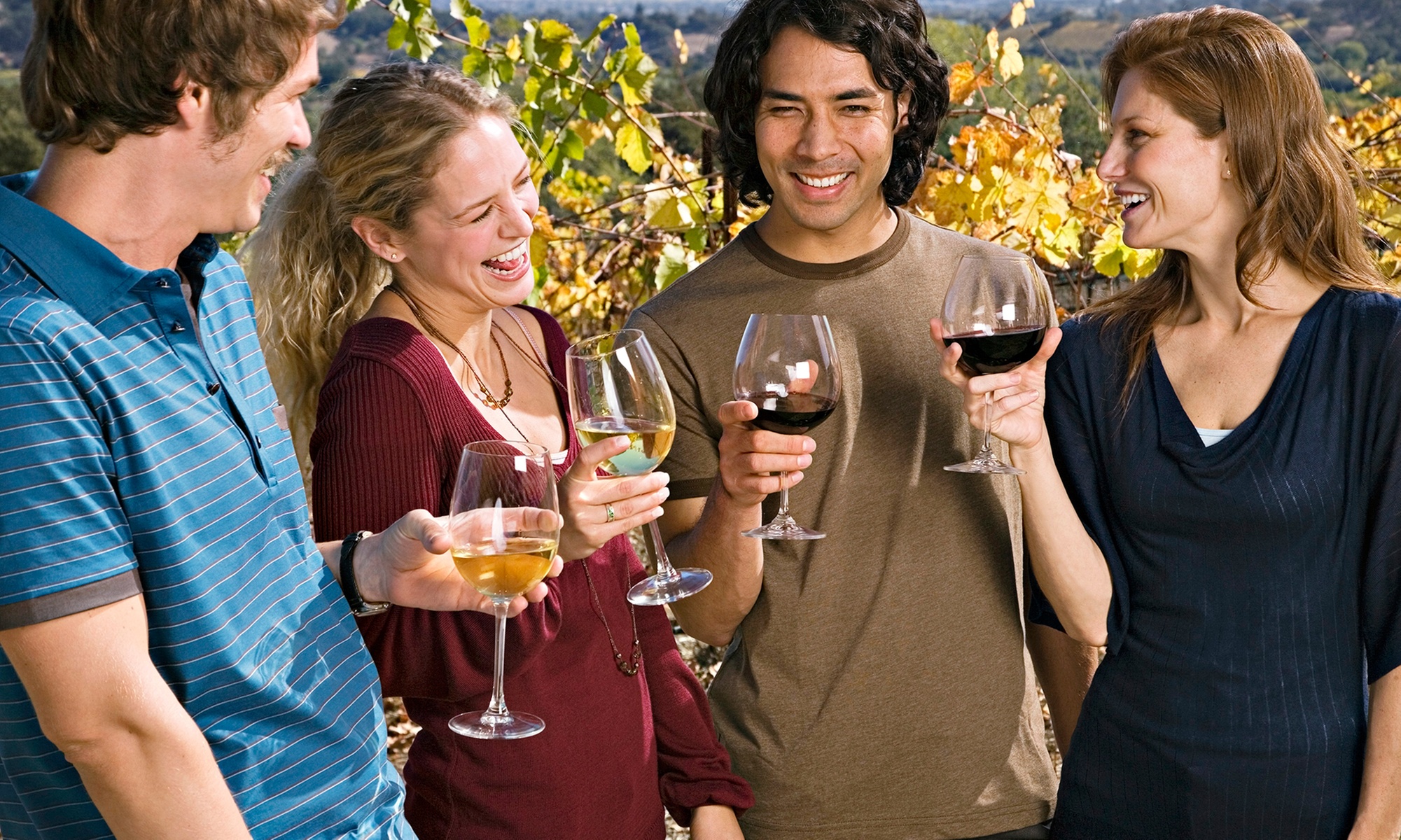 Wine Tasting and Tour Experience for One, Two, or Four People